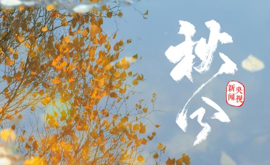 Premium Recommendation for the 2026 "Autumn Equinox" Season – 5.0-inch IPS TFT LCD Display